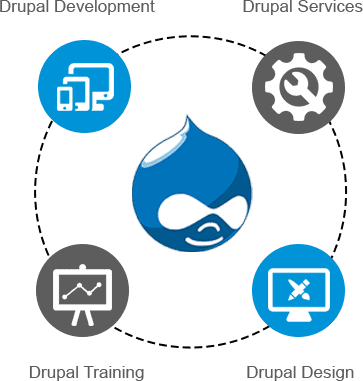 Drupal Development Company