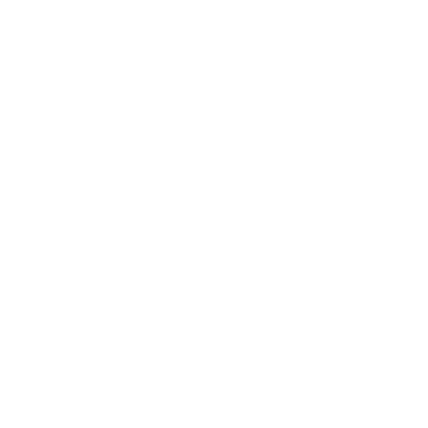 magento development services