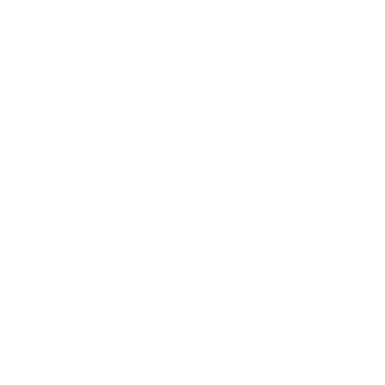 magento shopping cart development company