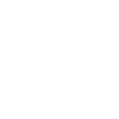 wordpress development services